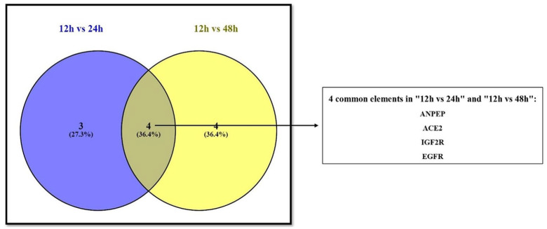 In vitro analysis of the renin-angiotensin system and inflammatory gene transcripts in human bronchial epithelial cells after infection with severe acute respiratory syndrome coronavirus.