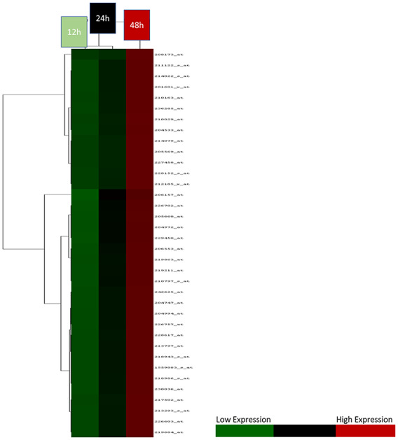 In vitro analysis of the renin-angiotensin system and inflammatory gene transcripts in human bronchial epithelial cells after infection with severe acute respiratory syndrome coronavirus.