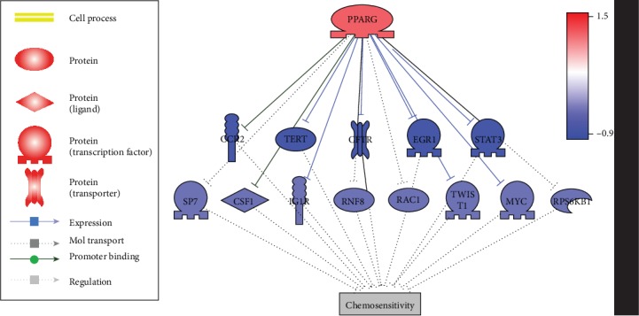 <i>Pparg</i> may Promote Chemosensitivity of Hypopharyngeal Squamous Cell Carcinoma.