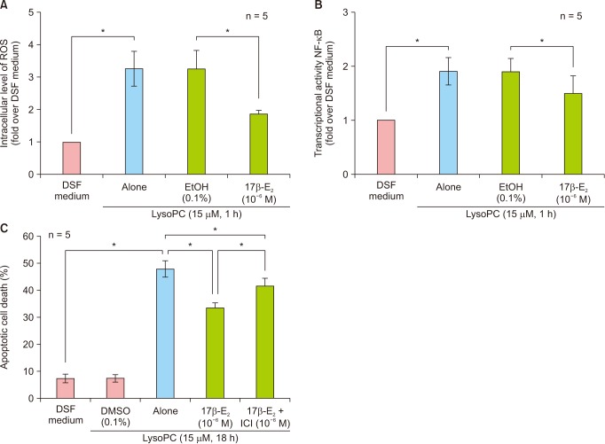 17β-Estradiol Inhibits Lysophosphatidylcholine-Induced Apoptosis in Cultured Vascular Smooth Muscle Cells.