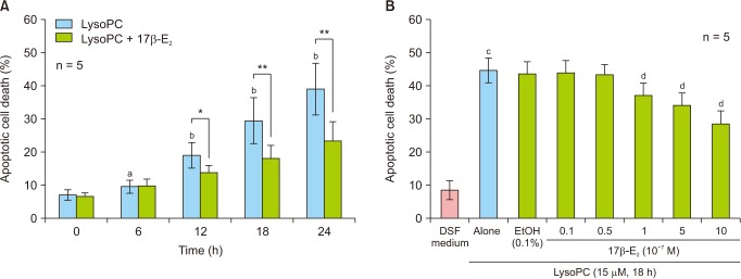 17β-Estradiol Inhibits Lysophosphatidylcholine-Induced Apoptosis in Cultured Vascular Smooth Muscle Cells.