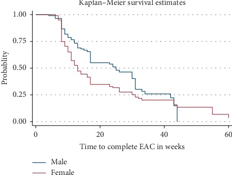 Viral Load Suppression after Enhanced Adherence Counseling and Its Predictors among High Viral Load HIV Seropositive People in North Wollo Zone Public Hospitals, Northeast Ethiopia, 2019: Retrospective Cohort Study.