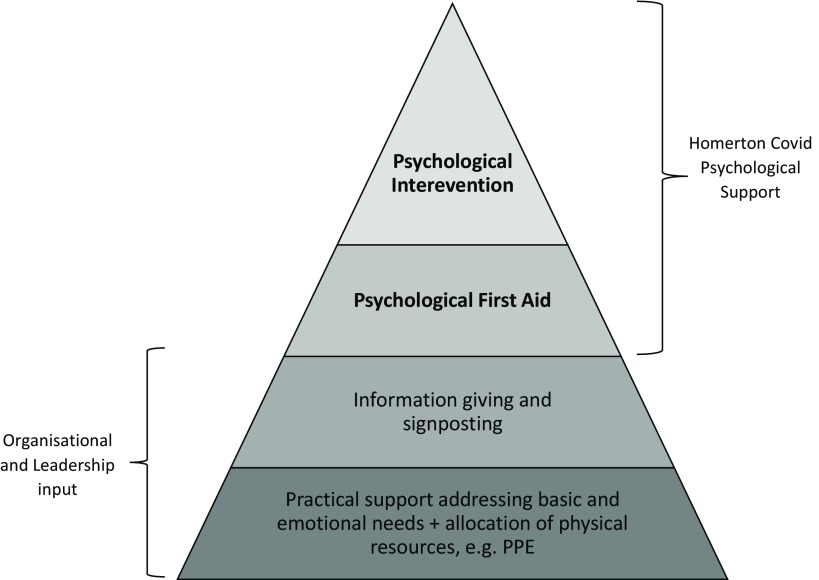 Adapting IAPT services to support frontline NHS staff during the Covid-19 pandemic: the Homerton Covid Psychological Support (HCPS) pathway.