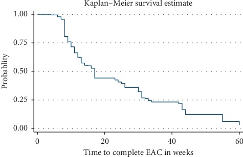 Viral Load Suppression after Enhanced Adherence Counseling and Its Predictors among High Viral Load HIV Seropositive People in North Wollo Zone Public Hospitals, Northeast Ethiopia, 2019: Retrospective Cohort Study.