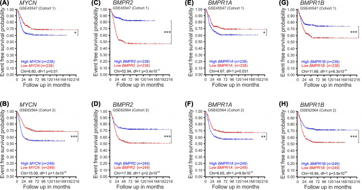 Association of distinct type 1 bone morphogenetic protein receptors with different molecular pathways and survival outcomes in neuroblastoma.