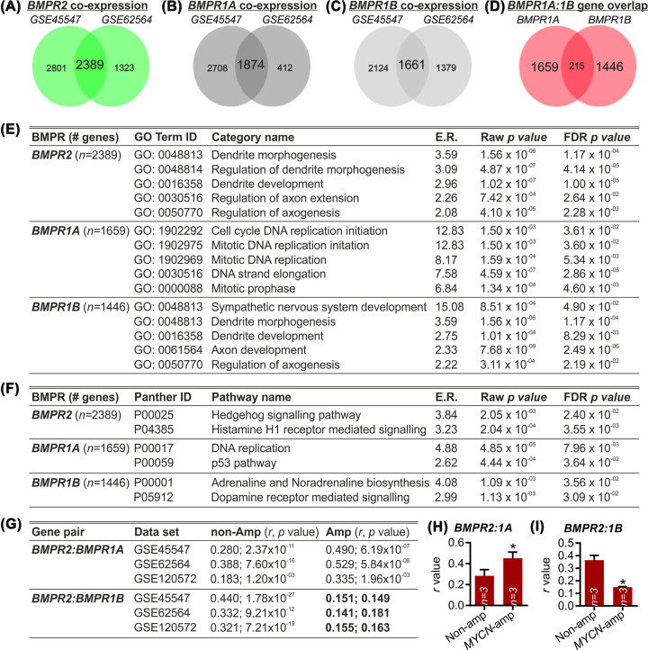 Association of distinct type 1 bone morphogenetic protein receptors with different molecular pathways and survival outcomes in neuroblastoma.