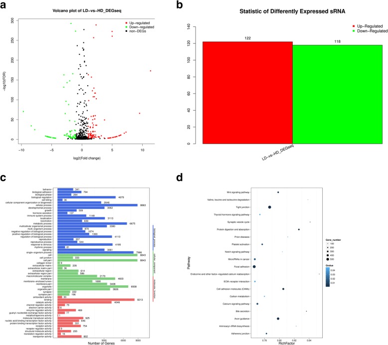 The functions of ocu-miR-205 in regulating hair follicle development in Rex rabbits.