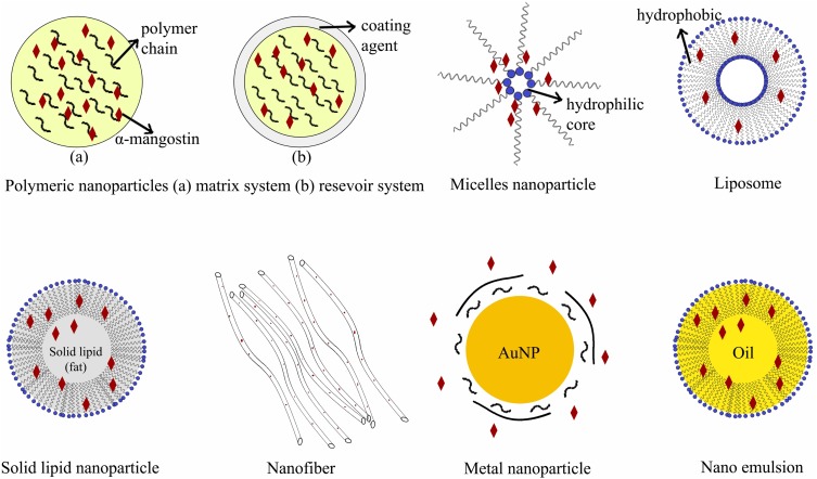 Nanoparticle Drug Delivery Systems for α-Mangostin.