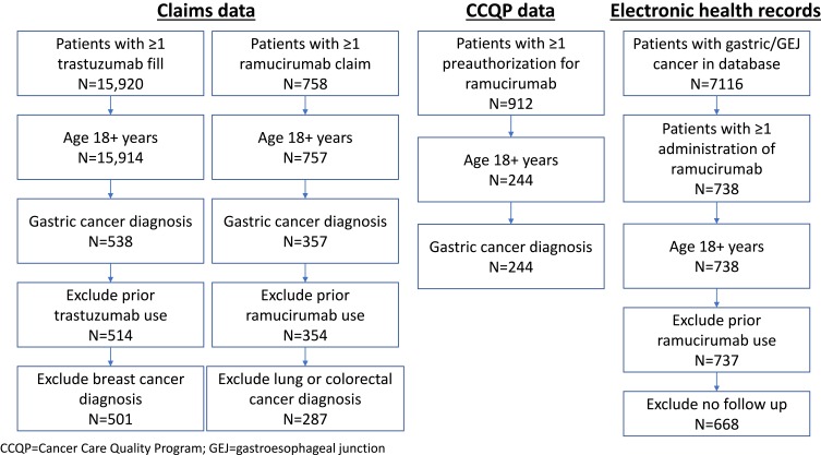 Reliability of Conclusions from Early Analyses of Real-World Data for Newly Approved Drugs in Advanced Gastric Cancer in the United States.