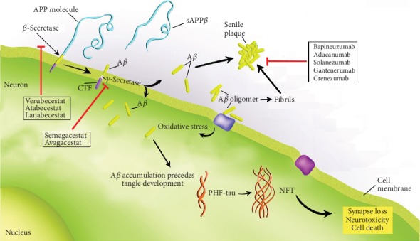 Clinical Trials in Alzheimer's Disease: A Hurdle in the Path of Remedy.