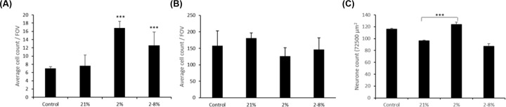 Cortical cells are altered by factors including bone morphogenetic protein released from a placental barrier model under altered oxygenation.