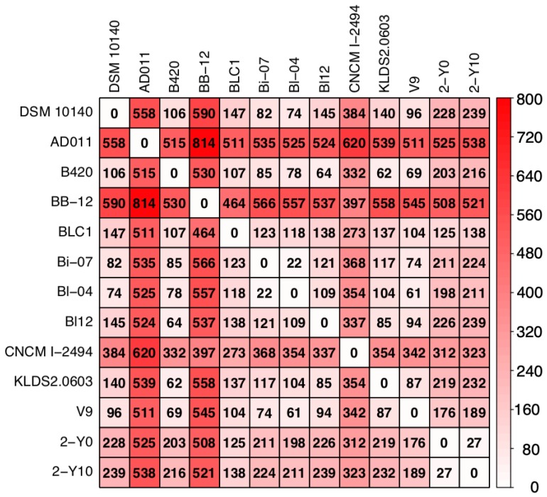 Draft Genome Sequences of <i>Bifidobacterium animalis</i> Consecutively Isolated from Healthy Japanese Individuals.