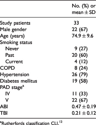2D perfusion-angiography during endovascular intervention for critical limb threatening ischemia - A feasibility study.