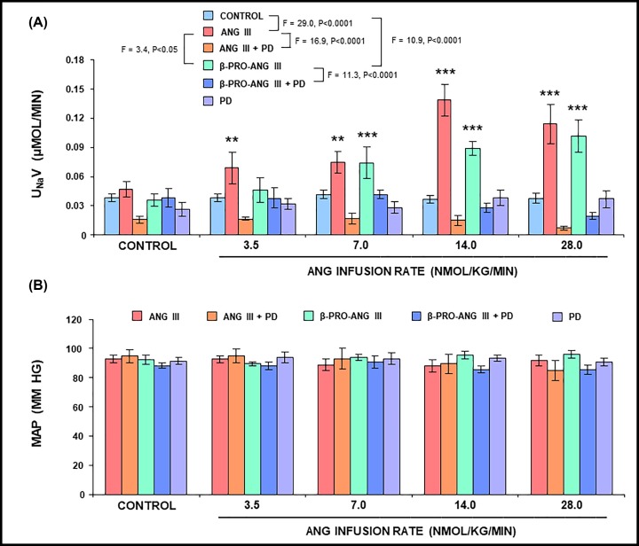 Renal functional effects of the highly selective AT2R agonist, β-Pro7 Ang III, in normotensive rats.