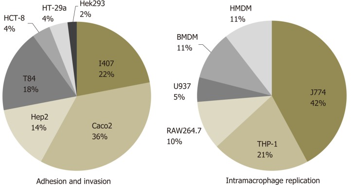 Why the discovery of adherent-invasive <i>Escherichia coli</i> molecular markers is so challenging?