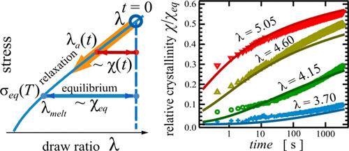 Strain-Induced Crystallization in Natural Rubber: Flory’s Theory Revisited