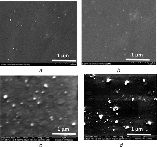 Analysis of space charge and charge trap characteristics of gamma irradiated silicone rubber nanocomposites