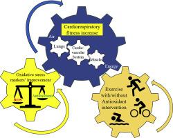 Interactions between oxidative stress and cardiorespiratory fitness: Old and new biomarkers