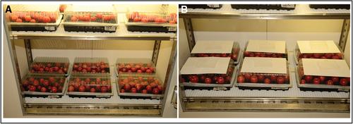 Analysis of Tomato Post-Harvest Properties: Fruit Color, Shelf Life, and Fungal Susceptibility