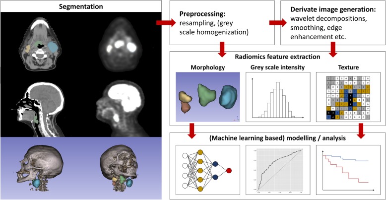 Applications of radiomics in precision diagnosis, prognostication and treatment planning of head and neck squamous cell carcinomas.