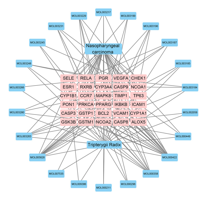 Network Pharmacology to Uncover the Molecular Mechanisms of Action of LeiGongTeng for the Treatment of Nasopharyngeal Carcinoma.