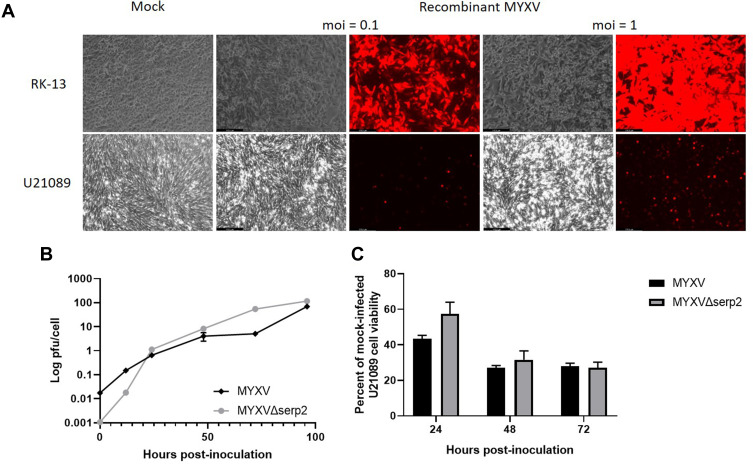 Treatment of an Alveolar Rhabdomyosarcoma Allograft with Recombinant Myxoma Virus and Oclacitinib.