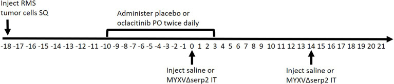 Treatment of an Alveolar Rhabdomyosarcoma Allograft with Recombinant Myxoma Virus and Oclacitinib.