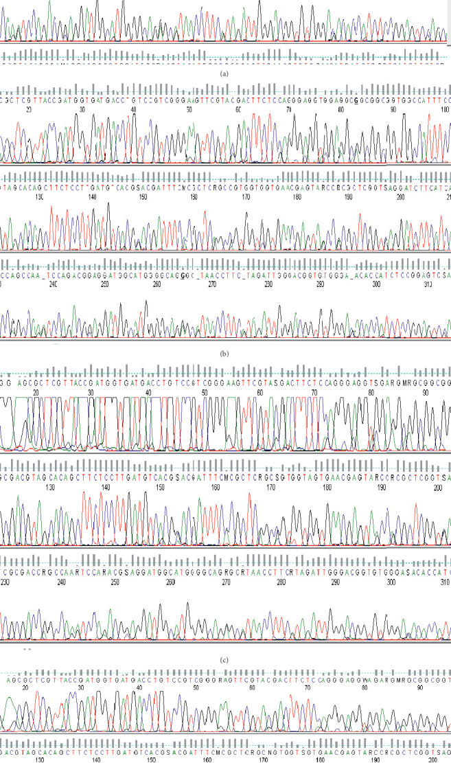 Evaluation of Actin-1 Expression in Wild Caught <i>Wuchereria bancrofti</i>-Infected Mosquito Vectors.