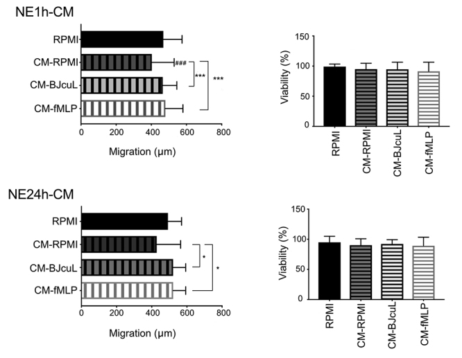 Neutrophils activated by BJcuL, a C-type lectin isolated from <i>Bothrops jararacussu</i> venom, decrease the invasion potential of neuroblastoma SK-N-SH cells <i>in vitro</i>.