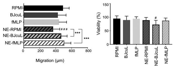 Neutrophils activated by BJcuL, a C-type lectin isolated from <i>Bothrops jararacussu</i> venom, decrease the invasion potential of neuroblastoma SK-N-SH cells <i>in vitro</i>.