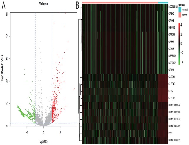 Weighted Gene Coexpression Network Analysis Reveals the Dynamic Transcriptome Regulation and Prognostic Biomarkers of Hepatocellular Carcinoma.