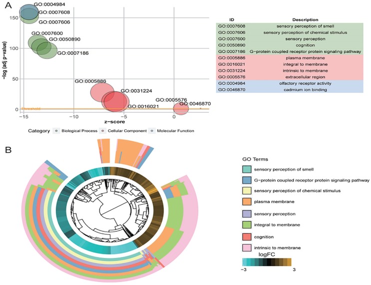 Weighted Gene Coexpression Network Analysis Reveals the Dynamic Transcriptome Regulation and Prognostic Biomarkers of Hepatocellular Carcinoma.