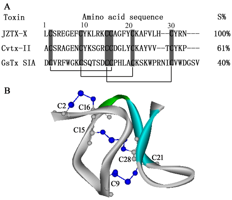 Jingzhaotoxin-X, a gating modifier of Kv4.2 and Kv4.3 potassium channels purified from the venom of the Chinese tarantula <i>Chilobrachys jingzhao</i>.