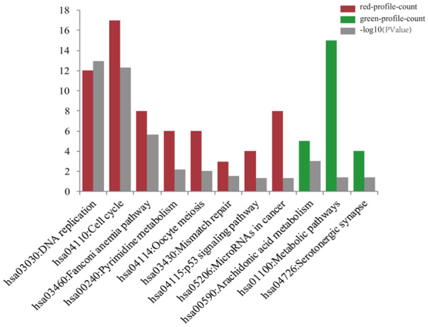 Longitudinal Analysis of Gene Expression Changes During Cervical Carcinogenesis Reveals Potential Therapeutic Targets.