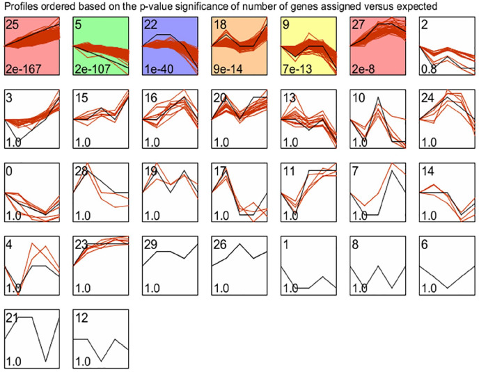 Longitudinal Analysis of Gene Expression Changes During Cervical Carcinogenesis Reveals Potential Therapeutic Targets.