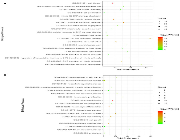 Longitudinal Analysis of Gene Expression Changes During Cervical Carcinogenesis Reveals Potential Therapeutic Targets.