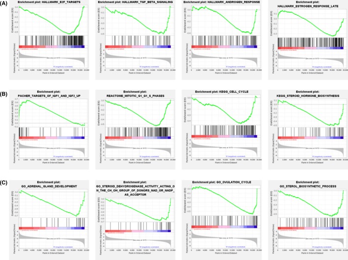 An integrated RNA-Seq and network study reveals the effect of nicotinamide on adrenal androgen synthesis.