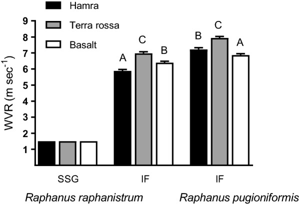 Seed dispersal of wild radishes and its association with within-population spatial distribution.