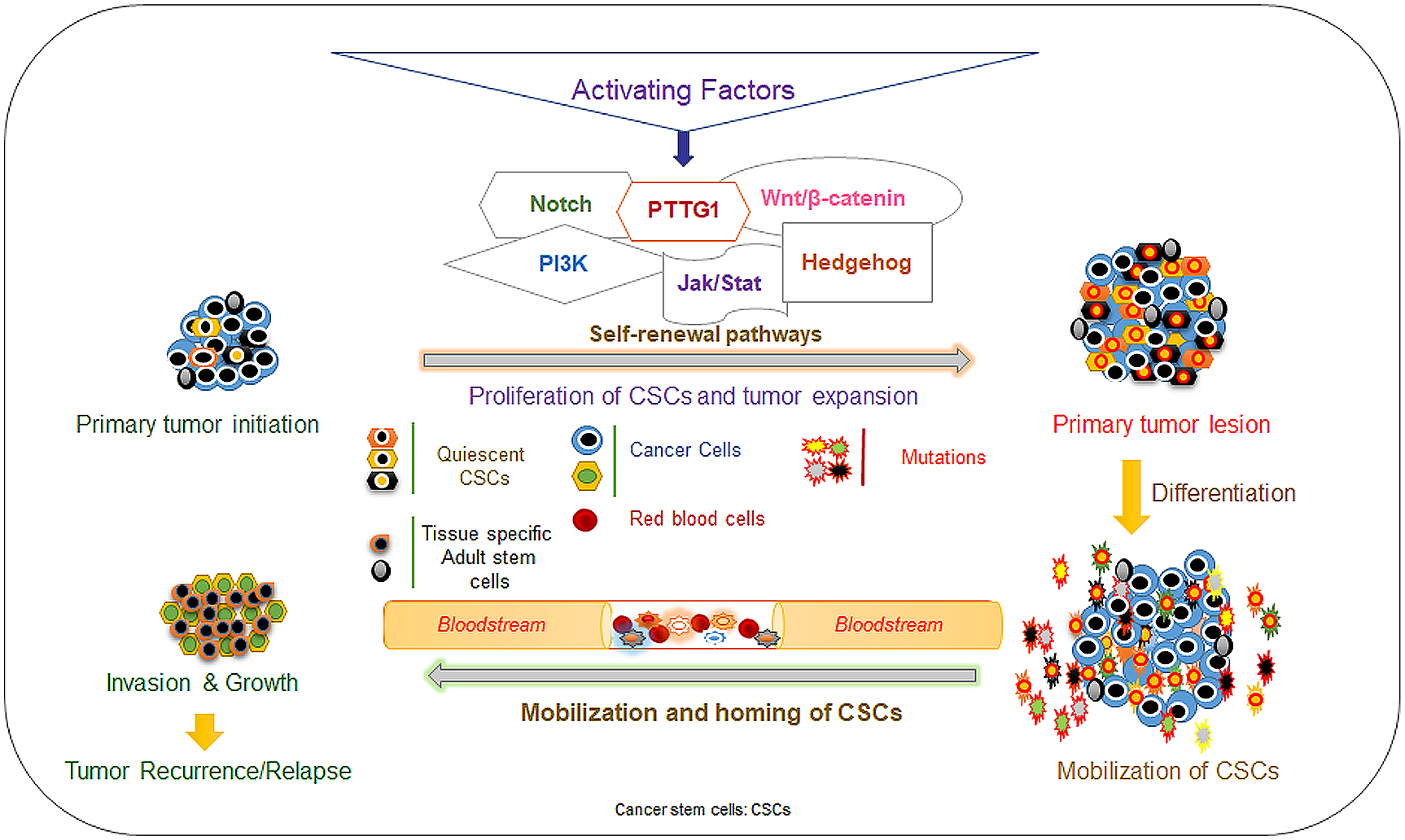 Stem Cells in Ovarian Cancer and Potential Therapies.