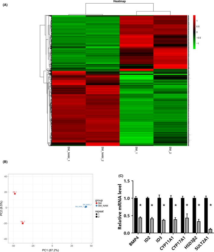An integrated RNA-Seq and network study reveals the effect of nicotinamide on adrenal androgen synthesis.