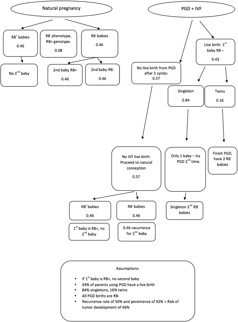 Preimplantation genetic diagnosis for retinoblastoma survivors: a cost-effectiveness study