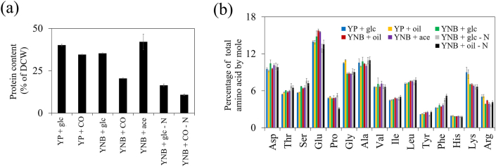 Analysis of Yarrowia lipolytica growth, catabolism, and terpenoid biosynthesis during utilization of lipid-derived feedstock