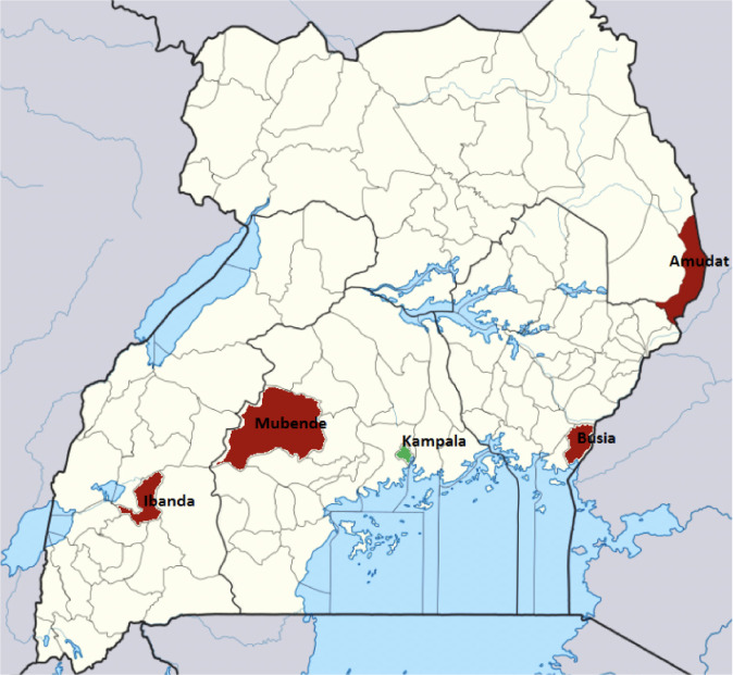 Mercury Exposure Among Artisanal and Small-Scale Gold Miners in Four Regions in Uganda.