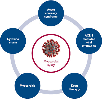 Mechanisms of Myocardial Injury in Coronavirus Disease 2019.