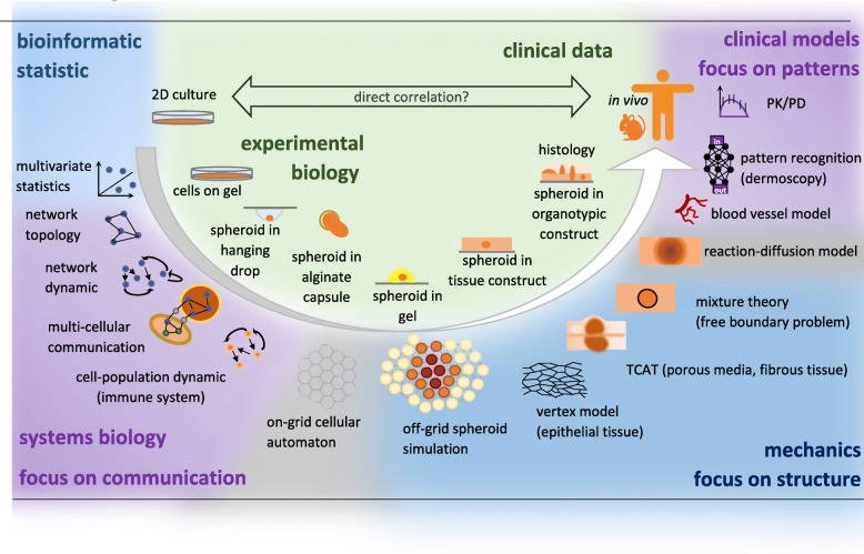 Computational models of melanoma.