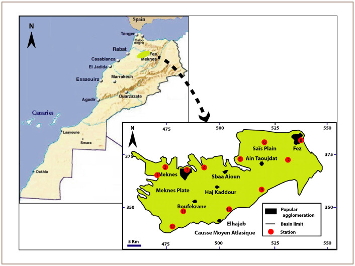 Groundwater Quality and Pollution Index for Heavy Metals in Saïs Plain, Morocco.