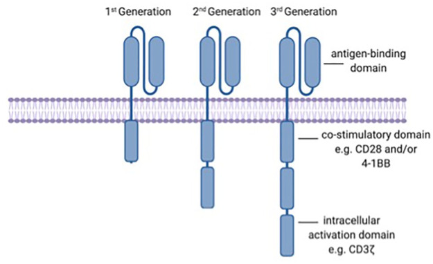 CAR T-cell immunotherapy of B-cell malignancy: the story so far.