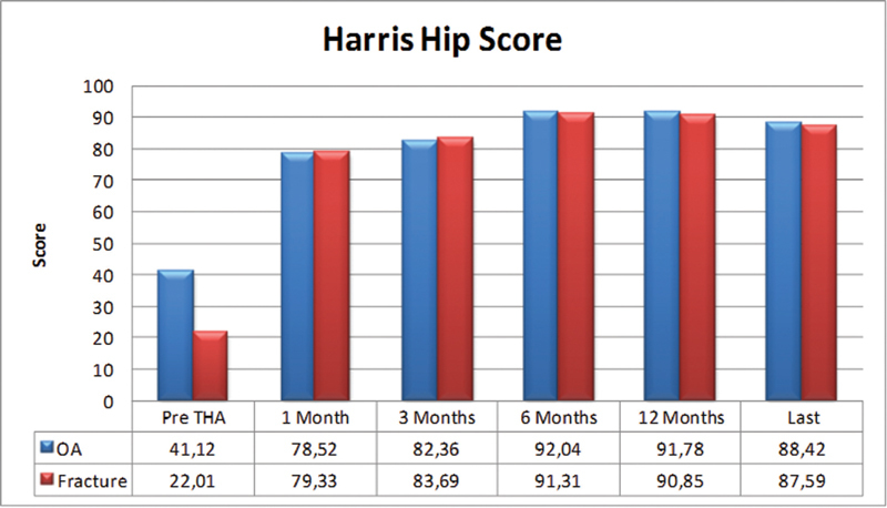 A Mid- to Long-Term Follow-Up Experience with a Specific Metal-on-Metal Total Hip Arthroplasty Design.