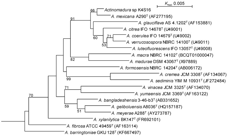 Draft genome sequence of <i>Actinomadura</i> sp. K4S16 and elucidation of the nonthmicin biosynthetic pathway.