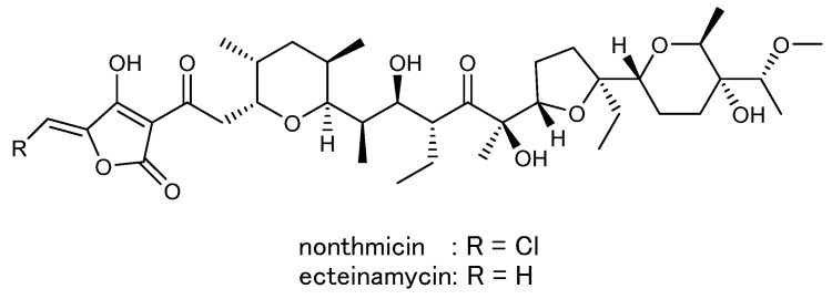 Draft genome sequence of <i>Actinomadura</i> sp. K4S16 and elucidation of the nonthmicin biosynthetic pathway.